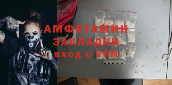 индика Инсар