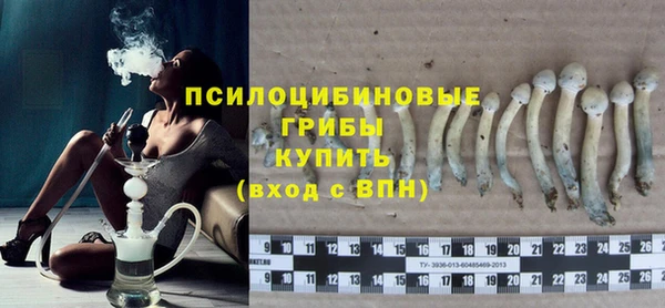 СК Аркадак