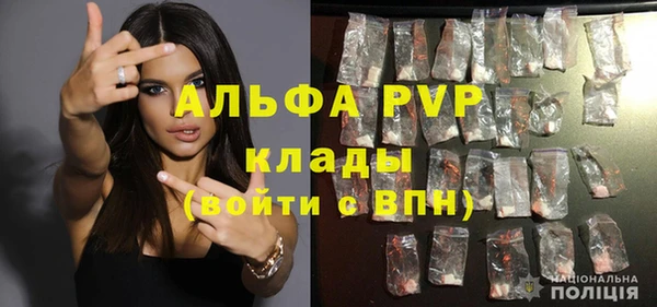 мяу мяу мука Инта