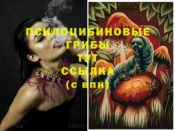 бутират Алексин